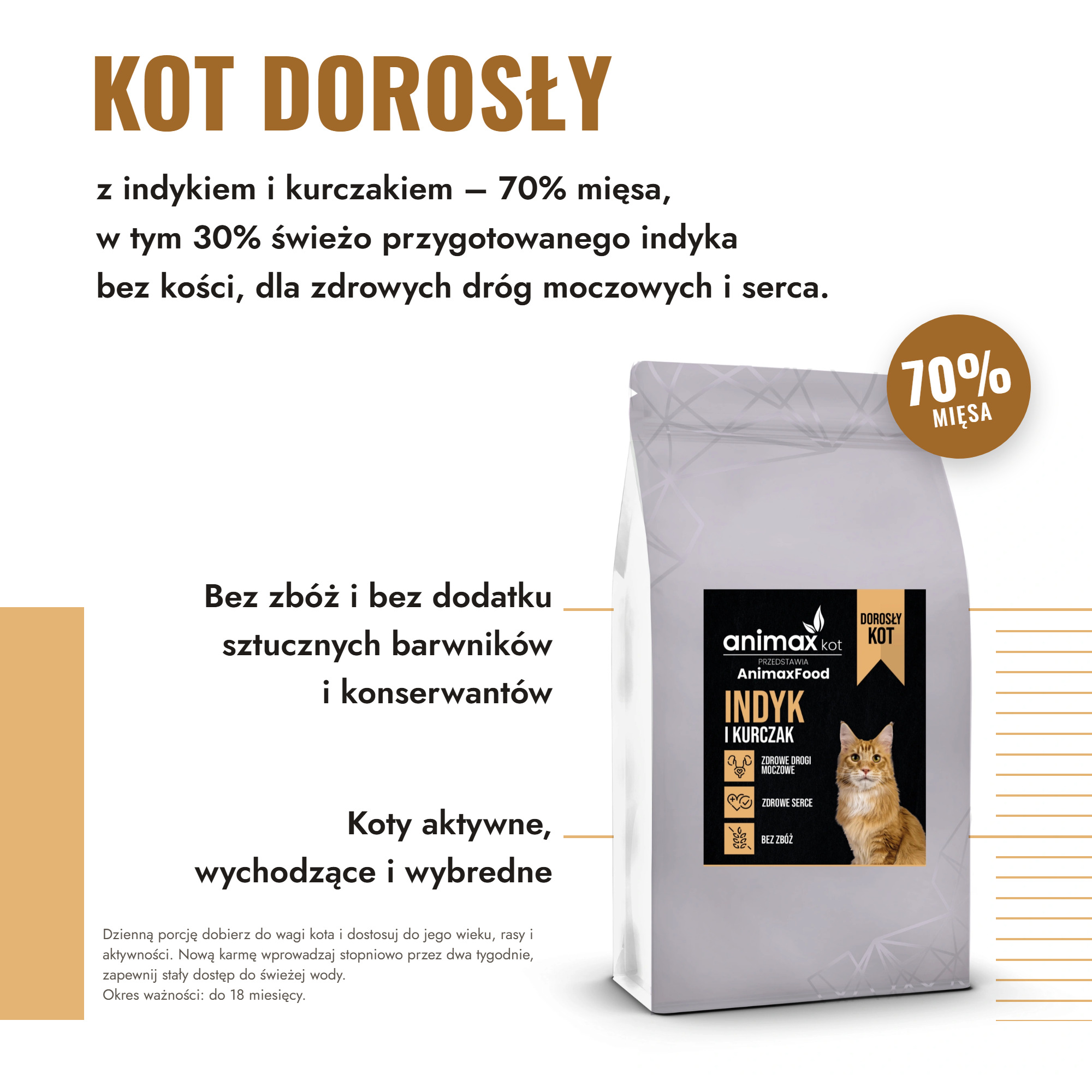 Co je kot, żeby był zdrowy - przewodnik po kociej diecie 2