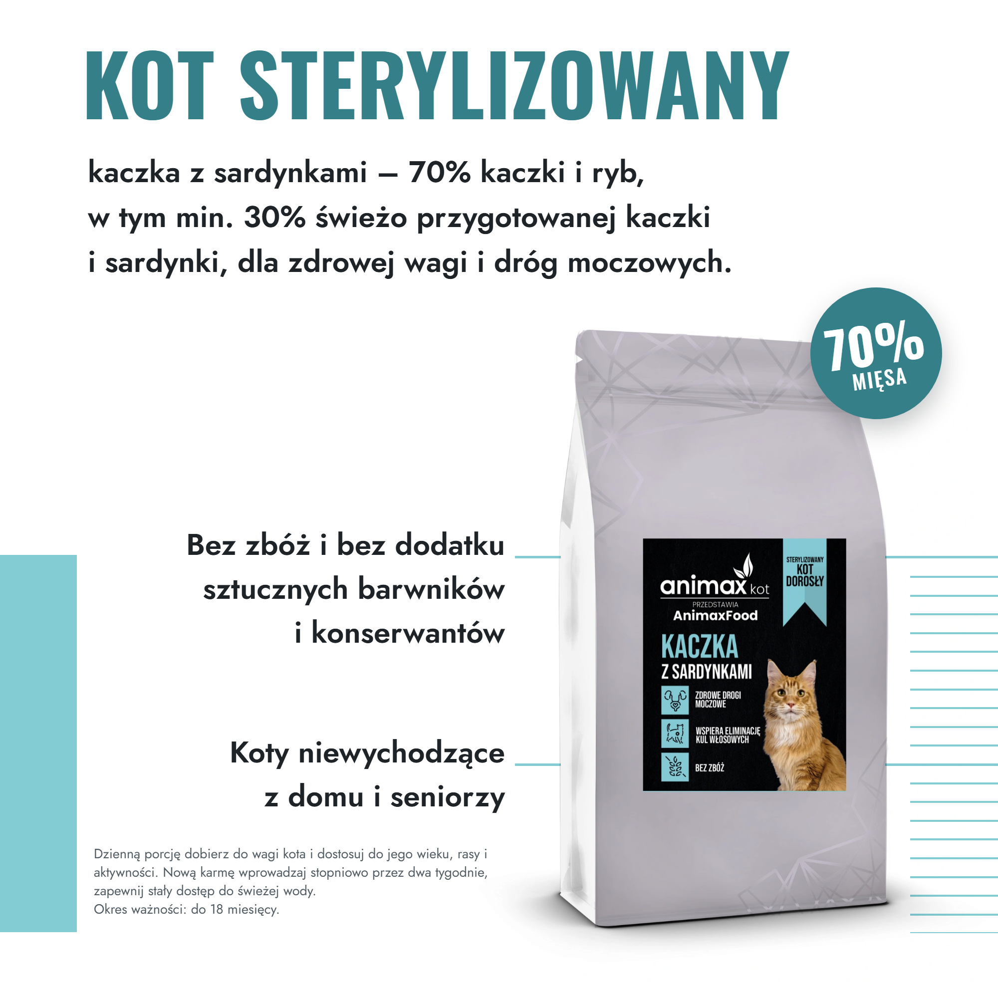 Co je kot, żeby był zdrowy - przewodnik po kociej diecie 3